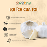  Tỏi 
