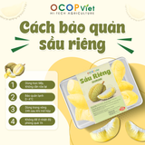  Sầu riêng cắt gọt 