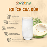  Dừa Ta 