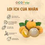  Nhãn Tiêu 