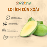  Xoài Keo 