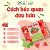  Dưa hấu cắt gọt 