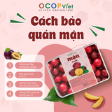  Mận cắt gọt 
