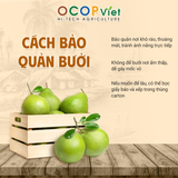  Bưởi da xanh 