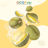  Sầu riêng cắt gọt 