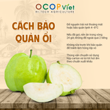  Ổi Nữ Hoàng 