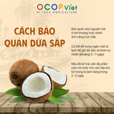  Dừa Sáp 