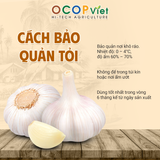  Tỏi 