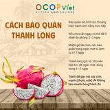  Thanh Long Ruột Trắng 