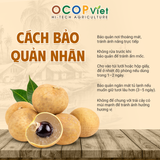  Nhãn Xuồng Cơm Vàng 