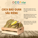  Sầu Riêng Ri6 