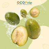 Cóc cắt gọt 