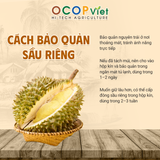  Sầu Riêng Thái 