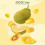  Mít cắt gọt 