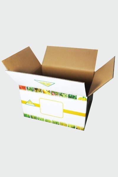 Thùng giấy carton in offset theo yêu cầu 53x35x27.5cm