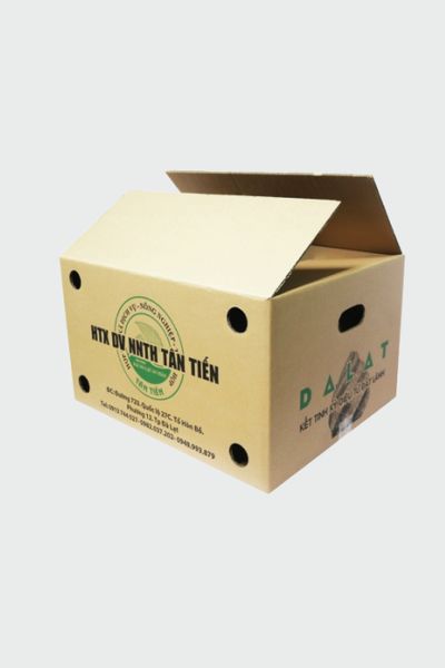 In thùng carton theo yêu cầu 53x39x42cm 5 lớp