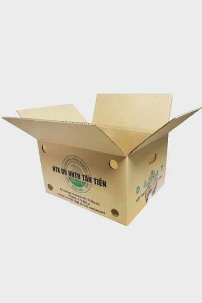 In thùng carton theo yêu cầu 53x39x42cm 5 lớp