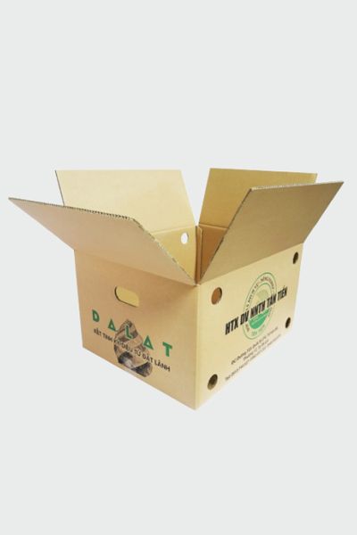 In thùng carton theo yêu cầu 53x39x42cm 5 lớp