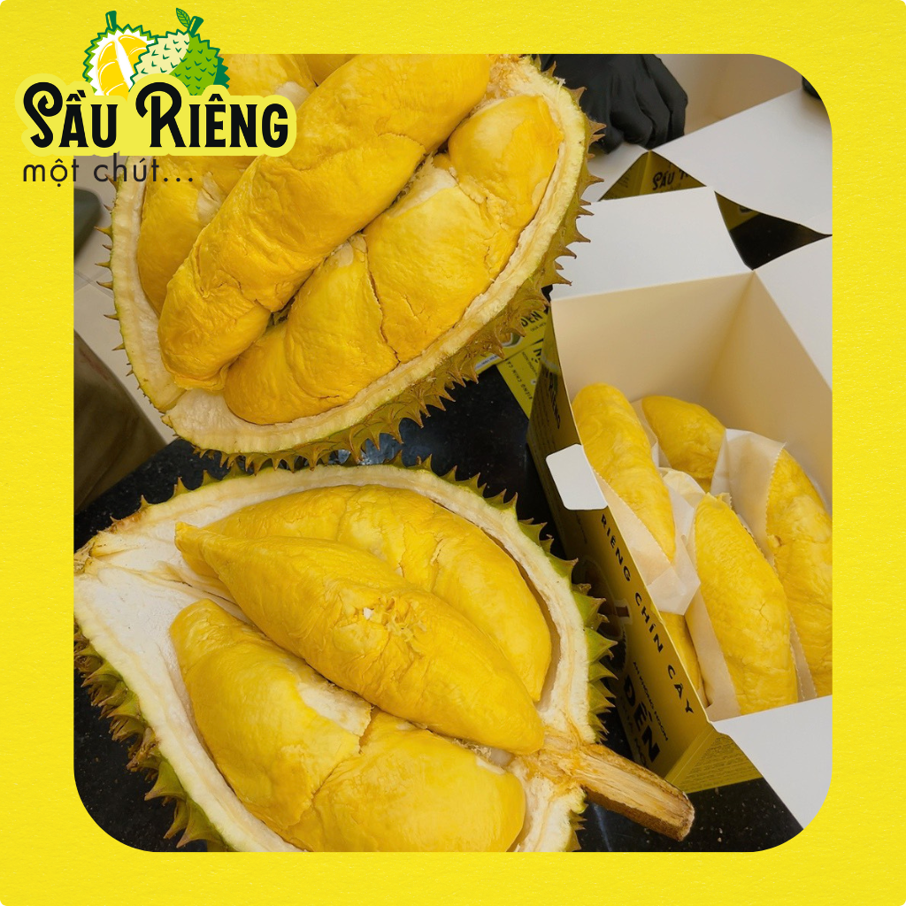 Rất ngon mà không sợ nóng Sầu Ri6 – Một Chút Sầu Riêng