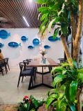  VILLA ĐÀ NẴNG 13PN - DN021 