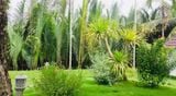  VILLA HỘI AN 14PN - HA006 