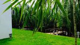  VILLA HỘI AN 14PN - HA006 