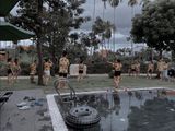  VILLA HỘI AN 14PN - HA006 