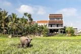  VILLA HỘI AN 7 PHÒNG NGỦ – SÂN VƯỜN THOÁNG MÁT - HA007 