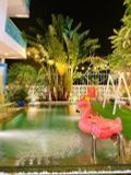  Villa Hội An Nguyên Căn 10 PN - HA031 