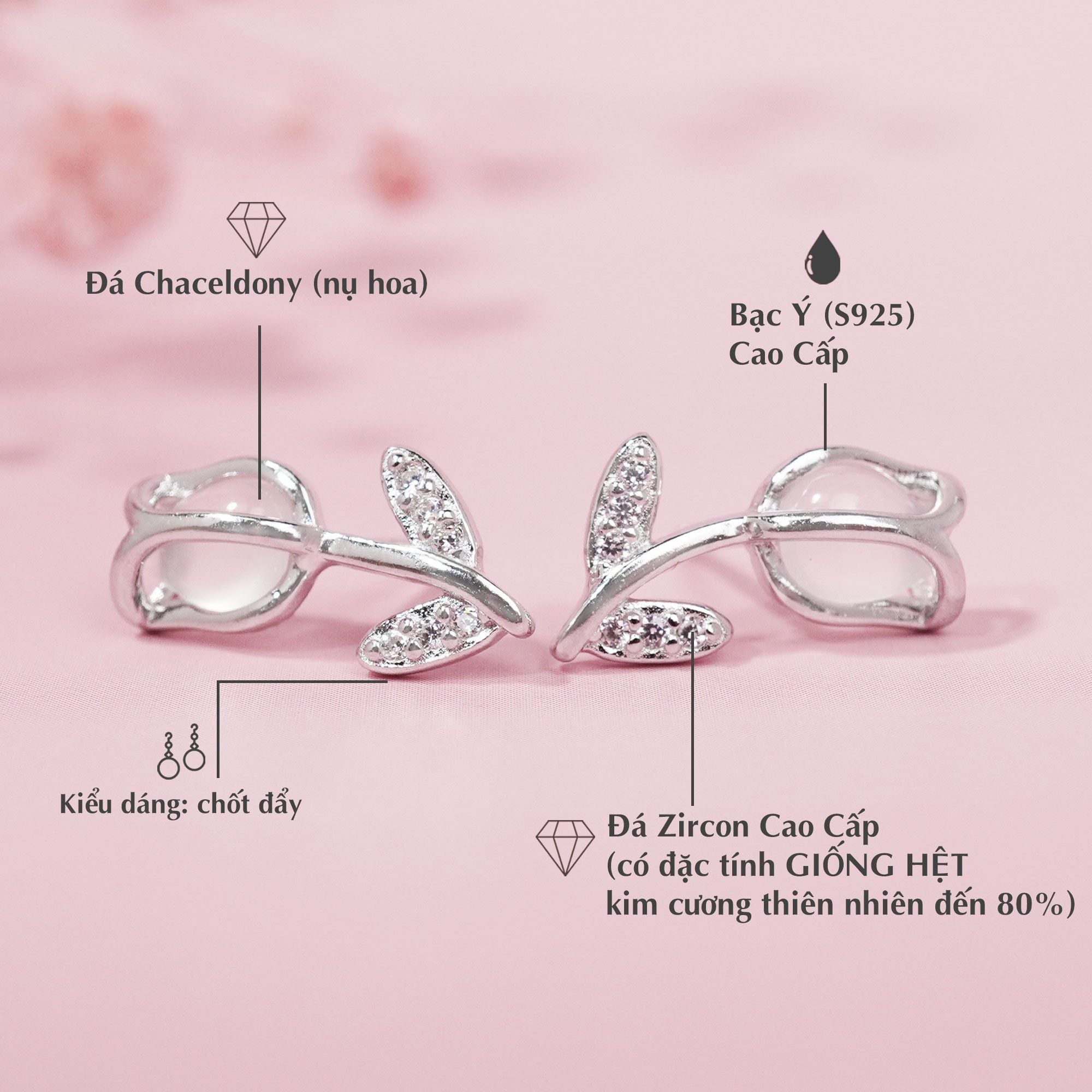 Hoa Tai Tulip Premium