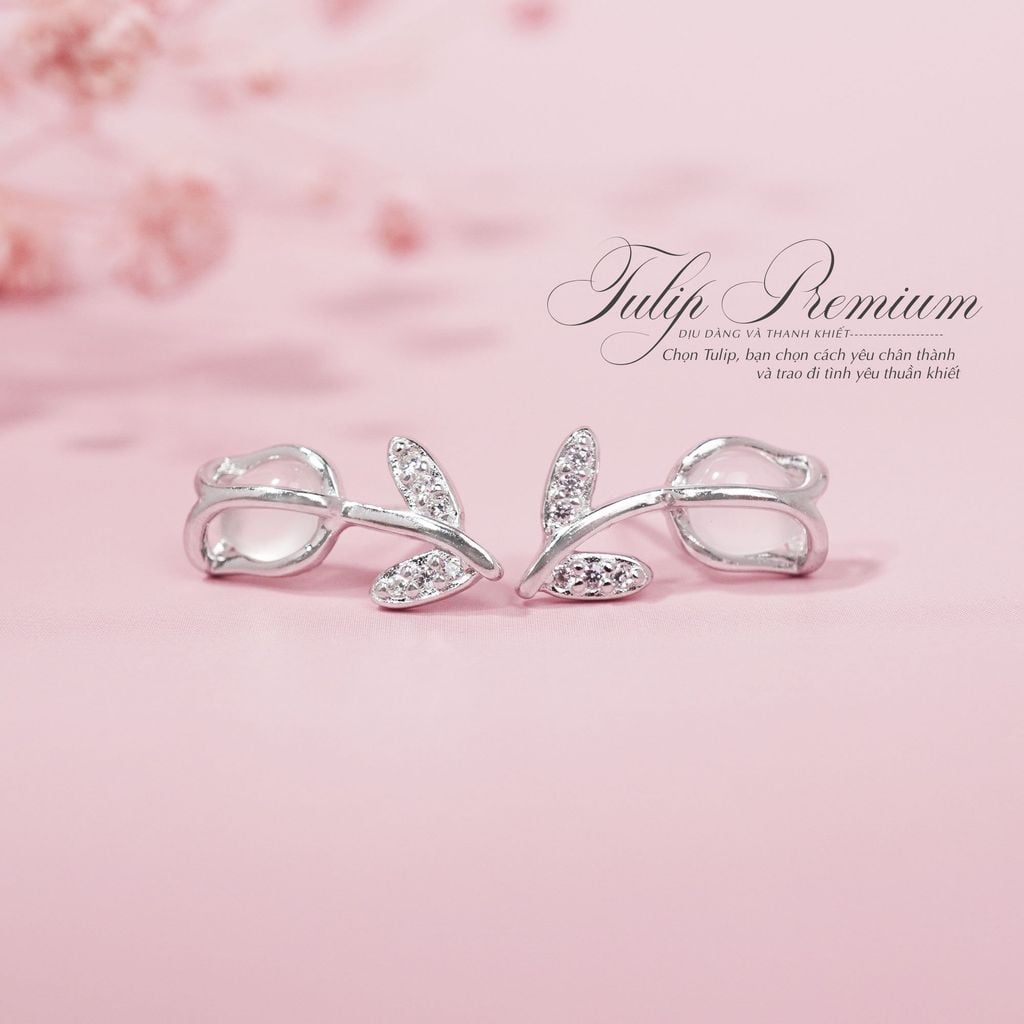 Hoa Tai Tulip Premium