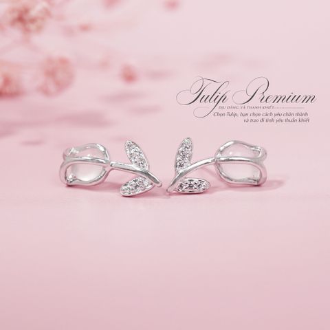 Hoa Tai Tulip Premium