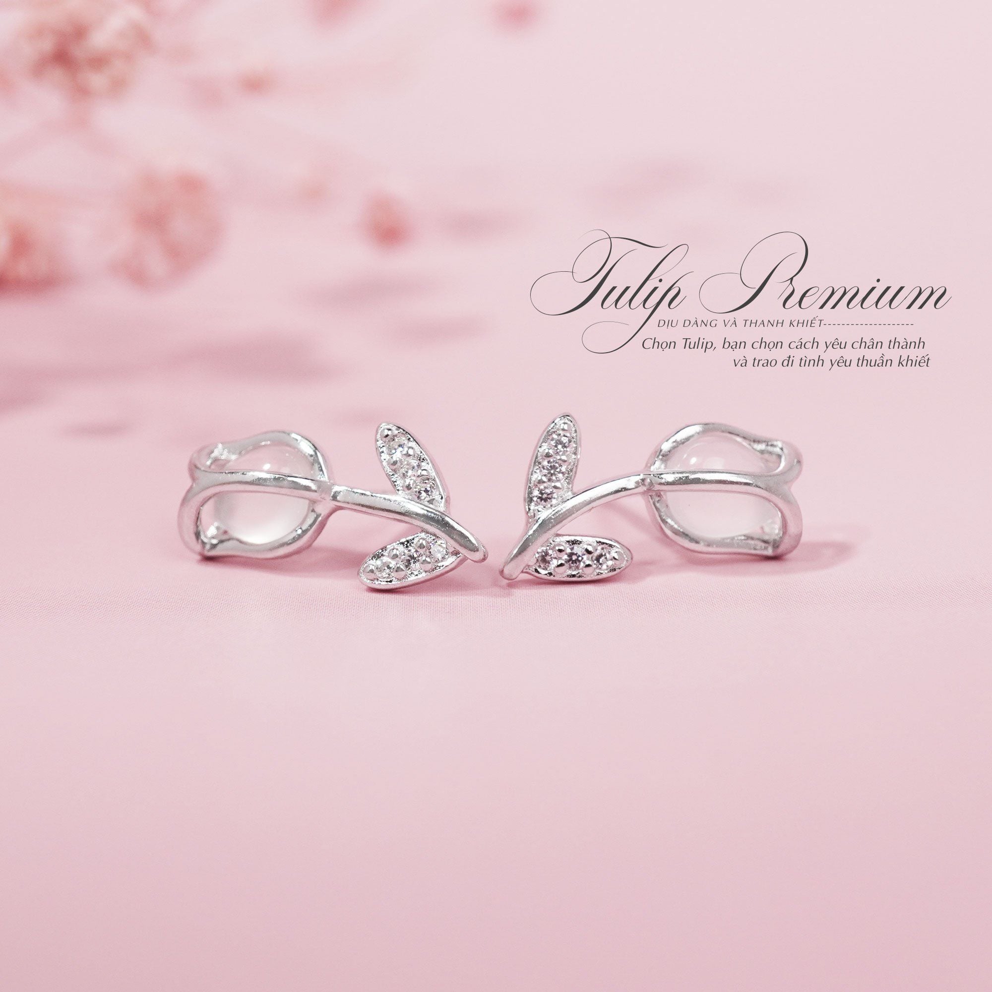 Hoa Tai Tulip Premium