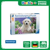 Đồ Chơi Xếp Hình Puzzle 500 Mảnh RAVENSBURGER Sweet Golden Retriever Jigsaw Puzzle 148295 - Herbie Toys