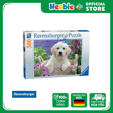 Đồ Chơi Xếp Hình Puzzle 500 Mảnh RAVENSBURGER Sweet Golden Retriever Jigsaw Puzzle 148295 - Herbie Toys