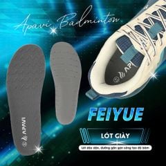 Giày cầu lông Apavi Feiyue