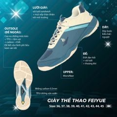 Giày cầu lông Apavi Feiyue