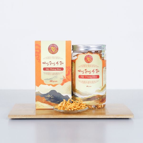 Đông Trùng Hạ Thảo Sấy Thăng Hoa