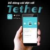  Router Wi-Fi TP-Link Archer C80 / C86 / AX12 | Wi-Fi 5 / Wi-Fi 6, Băng Tần Kép Chuẩn AC1900 / AX1500 