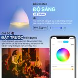  Đèn Thông Minh TP-Link Tapo L520E / L535E 