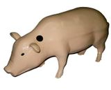 Mô Hình Con Lợn