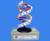 Mô Hình Cấu Trúc Không Gian ADN