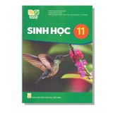 Sinh Học 11 - KNTT
