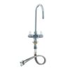 VÒI NÓNG LẠNH, CỔ CONG 304 T&S - 5F-2SLX05