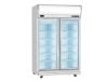 TỦ ĐÔNG TRƯNG BÀY, 2 CÁNH BERJAYA - 2D/DF-SM-EV