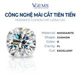  Moiss Cushion 