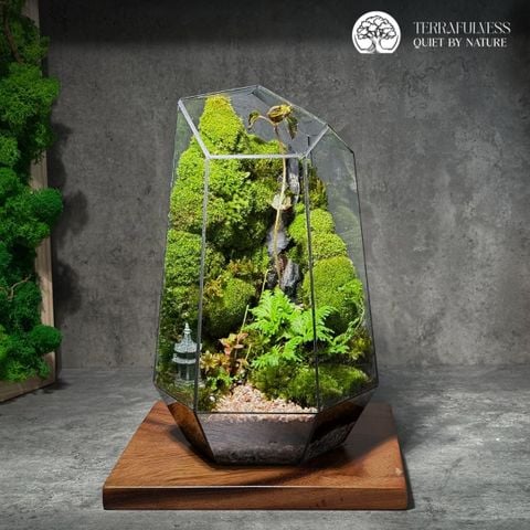 Terrarium Lối Nhỏ – Bể Đa Giác Đứng - Để Bàn Làm Việc