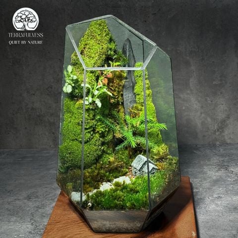 Terrarium Lối Nhỏ – Bể Đa Giác – Trang Trí Góc Làm Việc