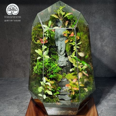 Zen Terrarium Phật Lập - Bể Đa Giác - Tôn Vinh Không Gian Thiền Định Sâu Lắng