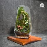 Terrarium